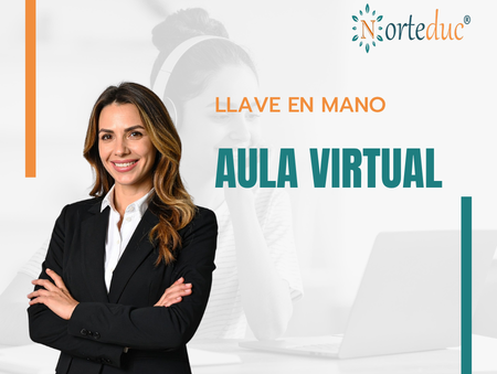 AULA VIRTUAL
